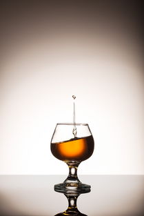 從土地到餐桌 農業循環中的食物、營養與酒精飲料